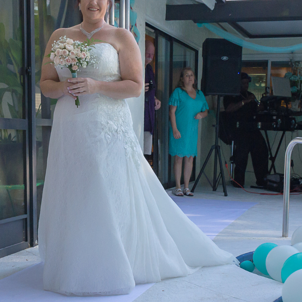 Plus Size Wedding Dress